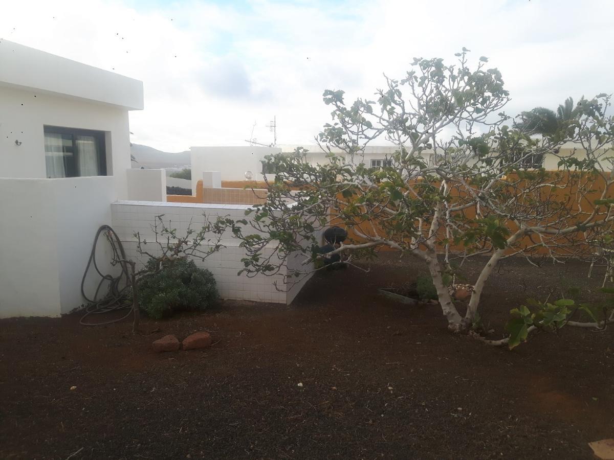 Blue Beach Famara Exterior foto